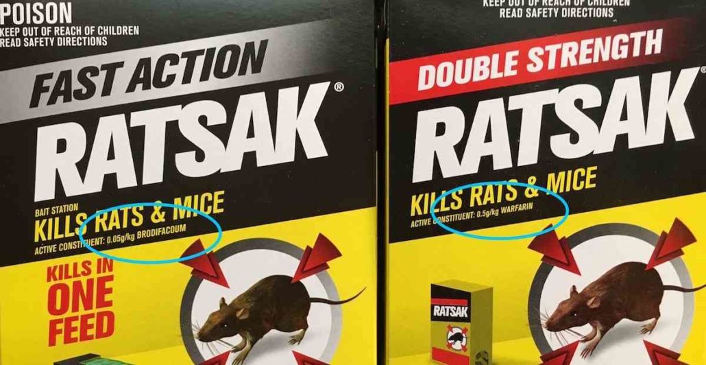 Things poisonous to your pet rat